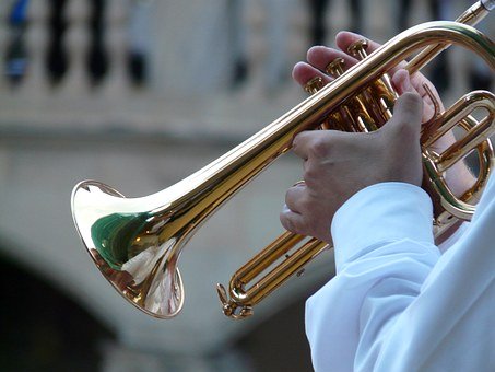 Trumpet player 8455 340