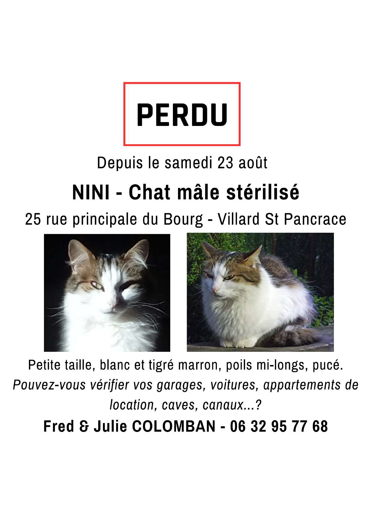 Perdu%20chat%20nini page 0001