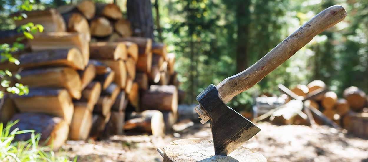 Home affouage bois